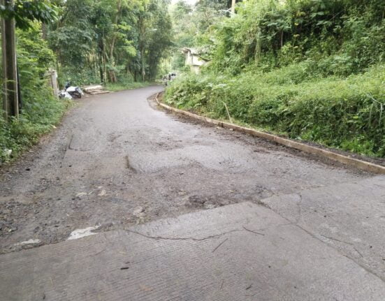 Proyek Pembangunan Rabat Beton Papak manggu, Yang Menuai Polemik Terkait Papan Proyek