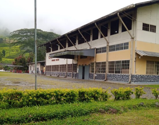 PT. Chakra Perkebunana Dewata Pabrik Teh Export Eropa Akses Jalan Menghawatirkan