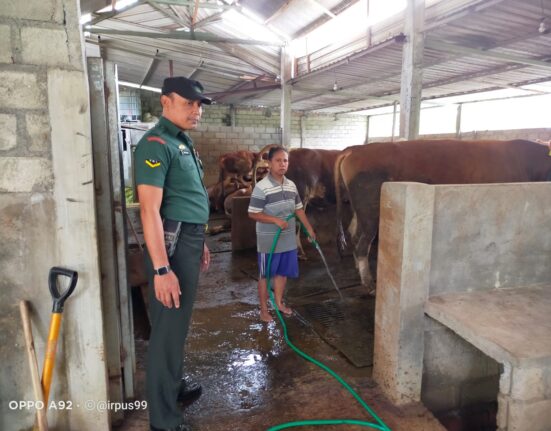 Babinsa Koramil 0808/16 Talun Laksanakan Pemantauan Dan Pengecekan Hewan Ternak