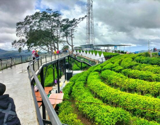 Nimo Highland Mendapat Antusias Tinggi Para Traveler