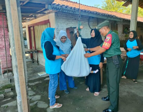Dukung Program Balita Sehat, Babinsa Koramil Sutojayan Dampingi Kegiatan Posyandu