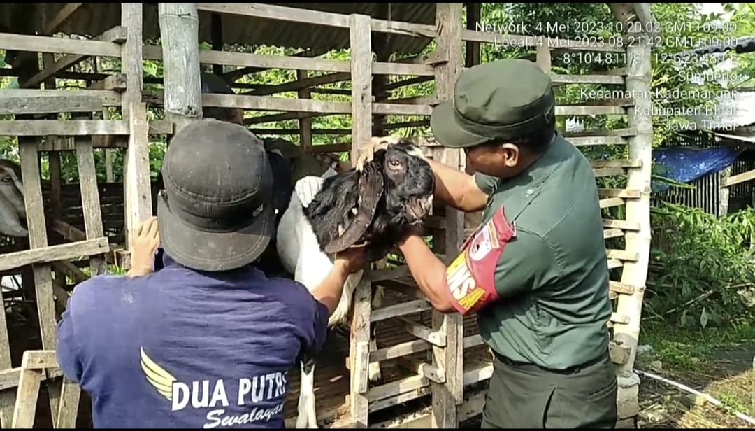 Peduli Kesehatan Hewan Ternak