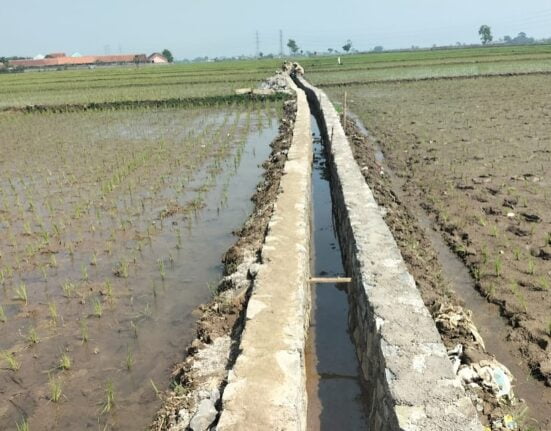 Di Desa Sukasari Program P3-TGAI Di Jadikan Ajang Bancakan