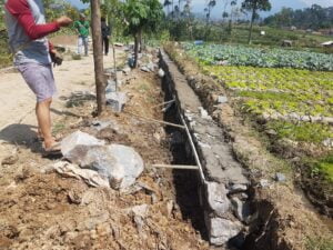 Carut Marutnya P3-TGAI Desa Lebak Muncang Oleh Kelompok Tani Caringin Pasir Kemir