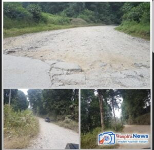 Akses Jalan Ke PT. Gio Dipa Energi