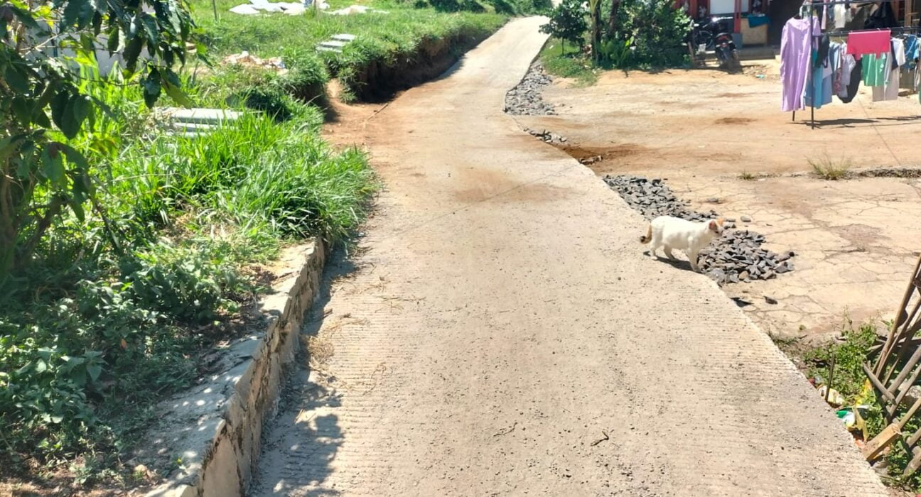 Proyek Jalan Setapak Di Desa Pulosari Tidak Terpampang Papan Informasi