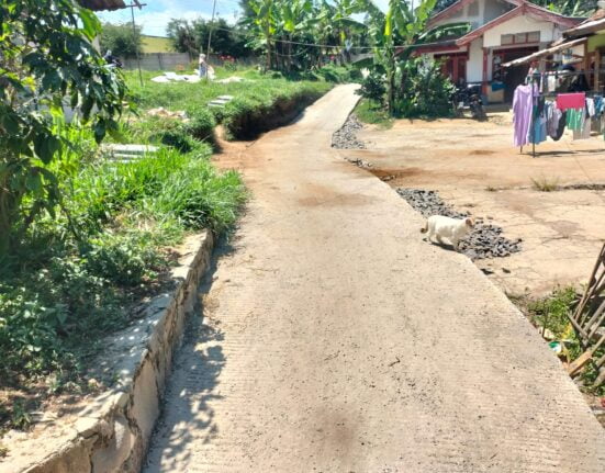 Proyek Jalan Setapak Di Desa Pulosari Tidak Terpampang Papan Informasi