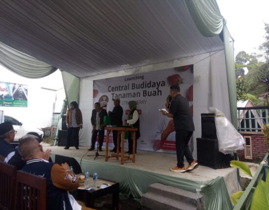 Desa Alamendah Adakan Acara Launching Central Budidaya Tanaman Buah Strobery Varietas USA