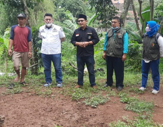 Desa Ciheulang Untuk Kesejahteraan BUMDES Modal 100jta Dari DD Di Belanjakan 30 Ekor Domba