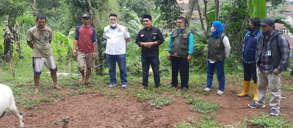 Desa Ciheulang Untuk Kesejahteraan BUMDES Modal 100jta Dari DD Di Belanjakan 30 Ekor Domba