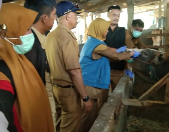Barnas Adjidin : Pastikan Kesehatan dan Harga Hewan Kurban Terkendali