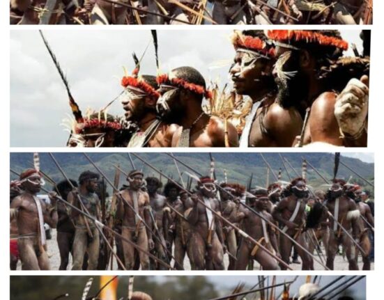 POLITISASI 'PERANG SUKU' DI LEMBAH BALIEM-WAMENA