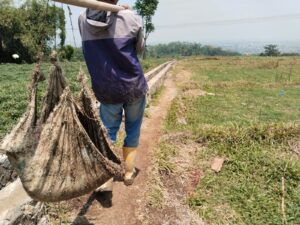 P3A SINDANGWANGI DESA SINDANGPANON PAPAN INFORMASI - DI COPOT, ALASAN TAKUT HILANG