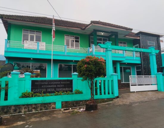 Desa Pangauban Realisasikan Program Ketahanan Pangan, Gunakan Kolam Bioflok Untuk Budidaya Ikan Mujair