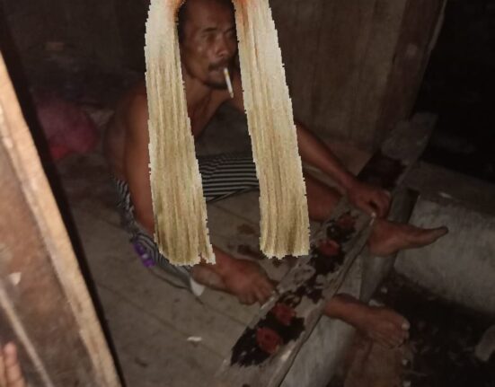 Rohman ODGJ Ngamuk Warga Desa Mekar Wangi Warga Sekitar Ketakutan