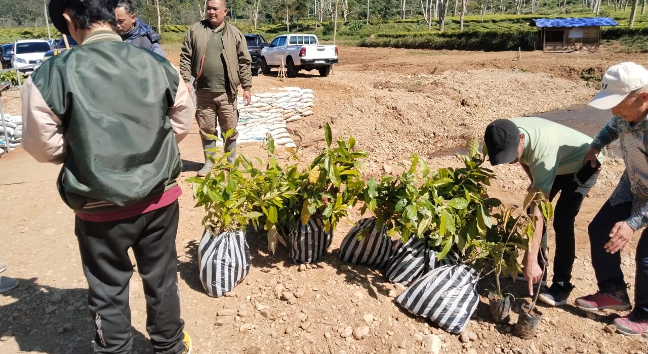 Kehadiran WNA Korea Berkegiatan Pertanian Di Desa Indra Ternyata Seremoni Belaka