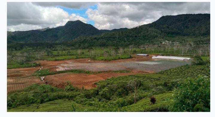 "MENYEWAKAN LAHAN NEGARA SAAT HGU HABIS BERPOTENSI MELANGGAR HUKUM "