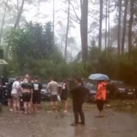 Cuaca Ekstrem Terjang Wisata Rahong: Belasan Mobil Tertimpa Pohon, Pengelola Diduga Lalai