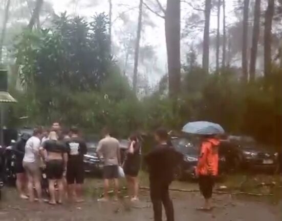 Cuaca Ekstrem Terjang Wisata Rahong: Belasan Mobil Tertimpa Pohon, Pengelola Diduga Lalai