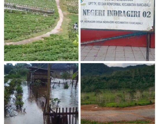 Alih Fungsi Lahan PTPN VIII Sinumbra Diduga Picu Banjir Bandang di SDN Indragiri 2