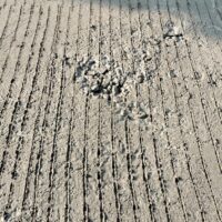 Diduga Asal Jadi dan Minim Transparansi, Proyek Rabat Beton di Baleendah Jadi Sorotan Warga