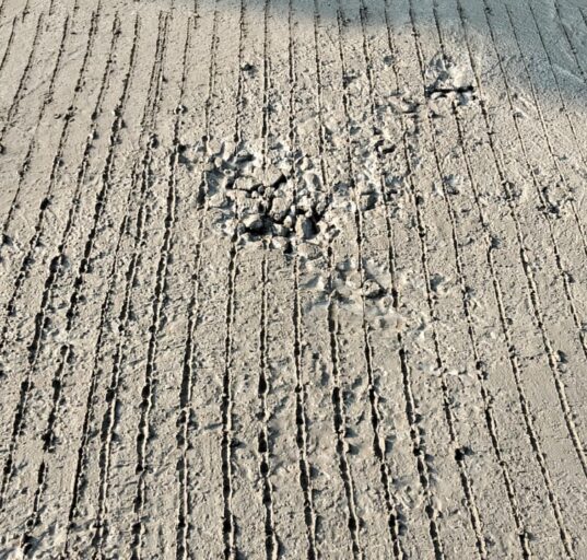 Diduga Asal Jadi dan Minim Transparansi, Proyek Rabat Beton di Baleendah Jadi Sorotan Warga