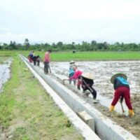 Ilustrasi Pengerjaan Saluran IrigasiTersier P3TGAI