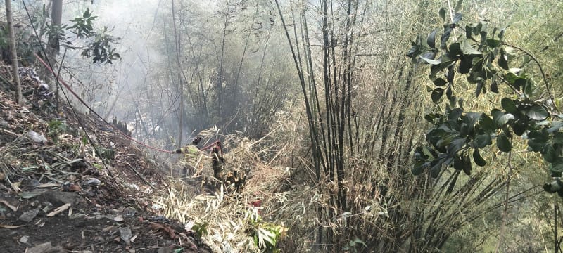 Damkar Kab. Bandung Sibuk, Kebakaran Lembah di Jalur Soreang–Ciwidey Diduga Akibat Ulah Oknum Tak Bertanggung Jawab